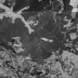 泉北ニュータウン (泉ヶ丘)周辺の 1961〜1969 年の空中写真