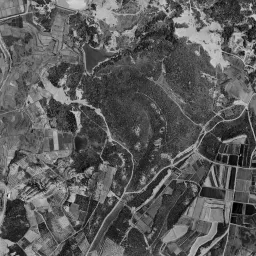 三好丘 (三好ヶ丘ニュータウン)周辺の 1961〜1969 年の空中写真