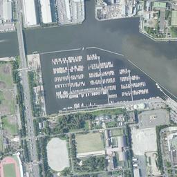 夢の島・新木場周辺の現在の空中写真
