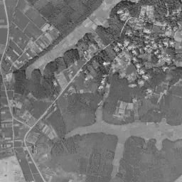 ユーカリが丘周辺の 1961〜1969 年の空中写真